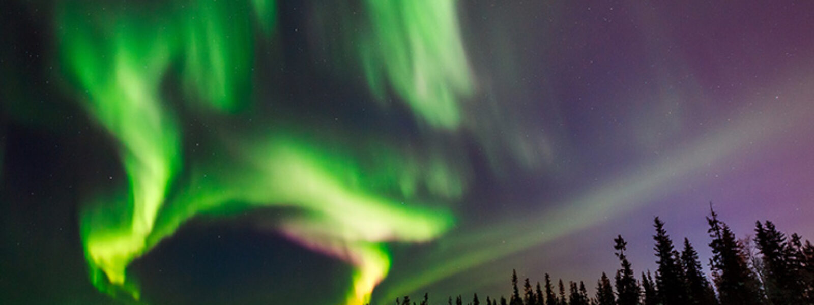 Northern Lights Tour